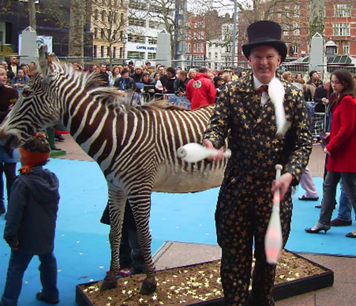 tony with zebra